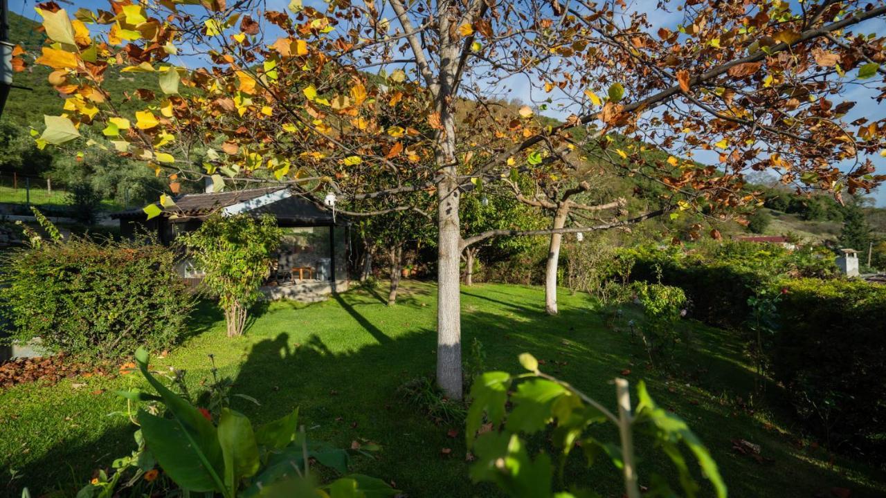 Lago Village House Kalambaka Bagian luar foto